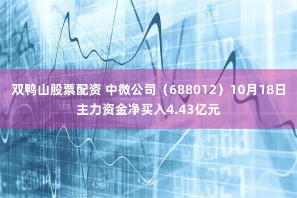 双鸭山股票配资 中微公司（688012）10月18日主力资金净买入4.43亿元