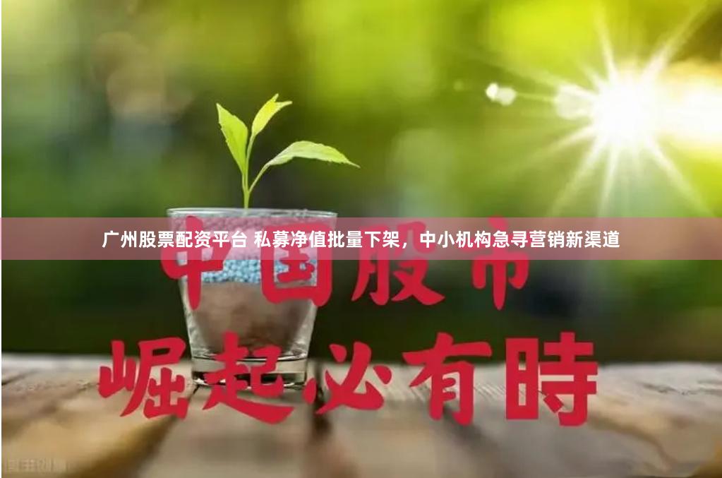 广州股票配资平台 私募净值批量下架，中小机构急寻营销新渠道