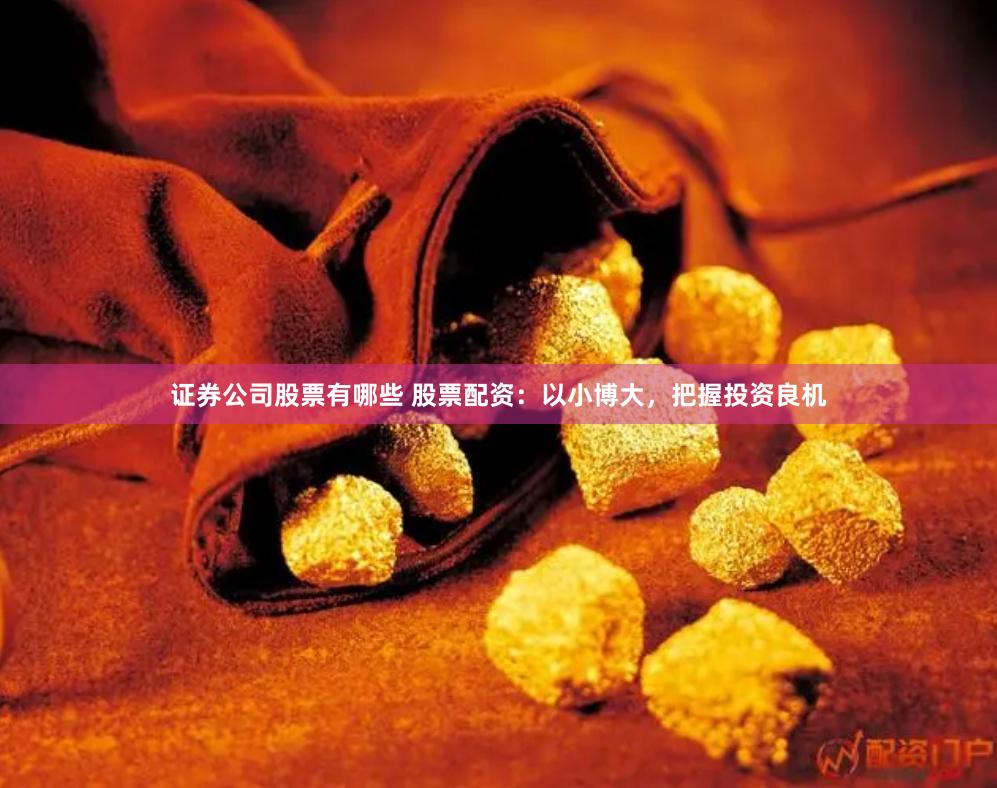 证券公司股票有哪些 股票配资：以小博大，把握投资良机